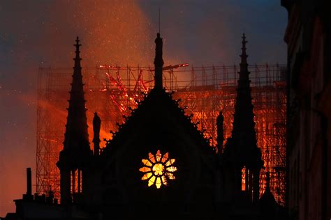 reopening of notre dame